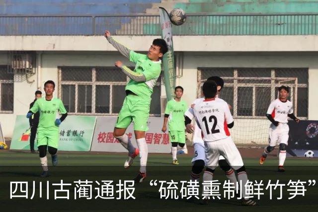 四川古蔺通报“硫磺熏制鲜竹笋”:已对涉案人员进行立案调查,对全县竹笋收购、加工、销售等环节开展全面排查