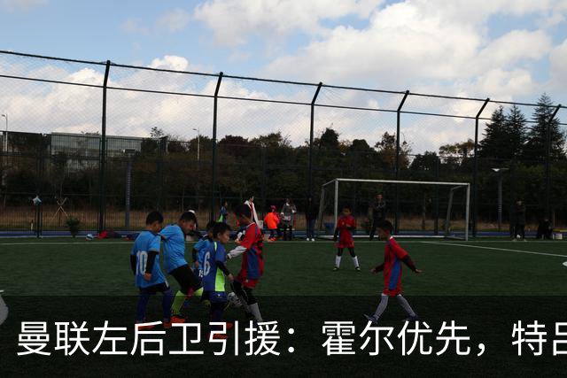 曼联左后卫引援:霍尔优先,特吕费尔在列