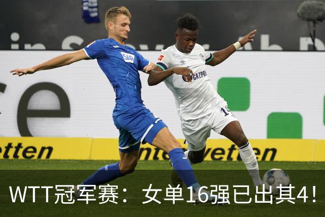WTT冠军赛：女单16强已出其4！斯佐科斯轰3-0晋级迎战早田希娜