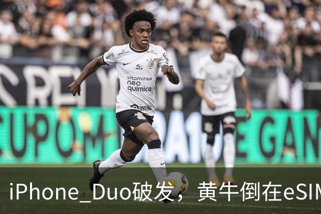 iPhone Duo破发,黄牛倒在eSIM